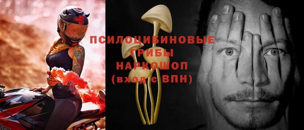 мет Алексин