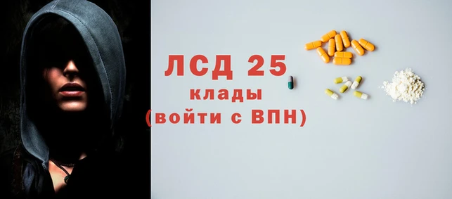 скорость Новозыбков